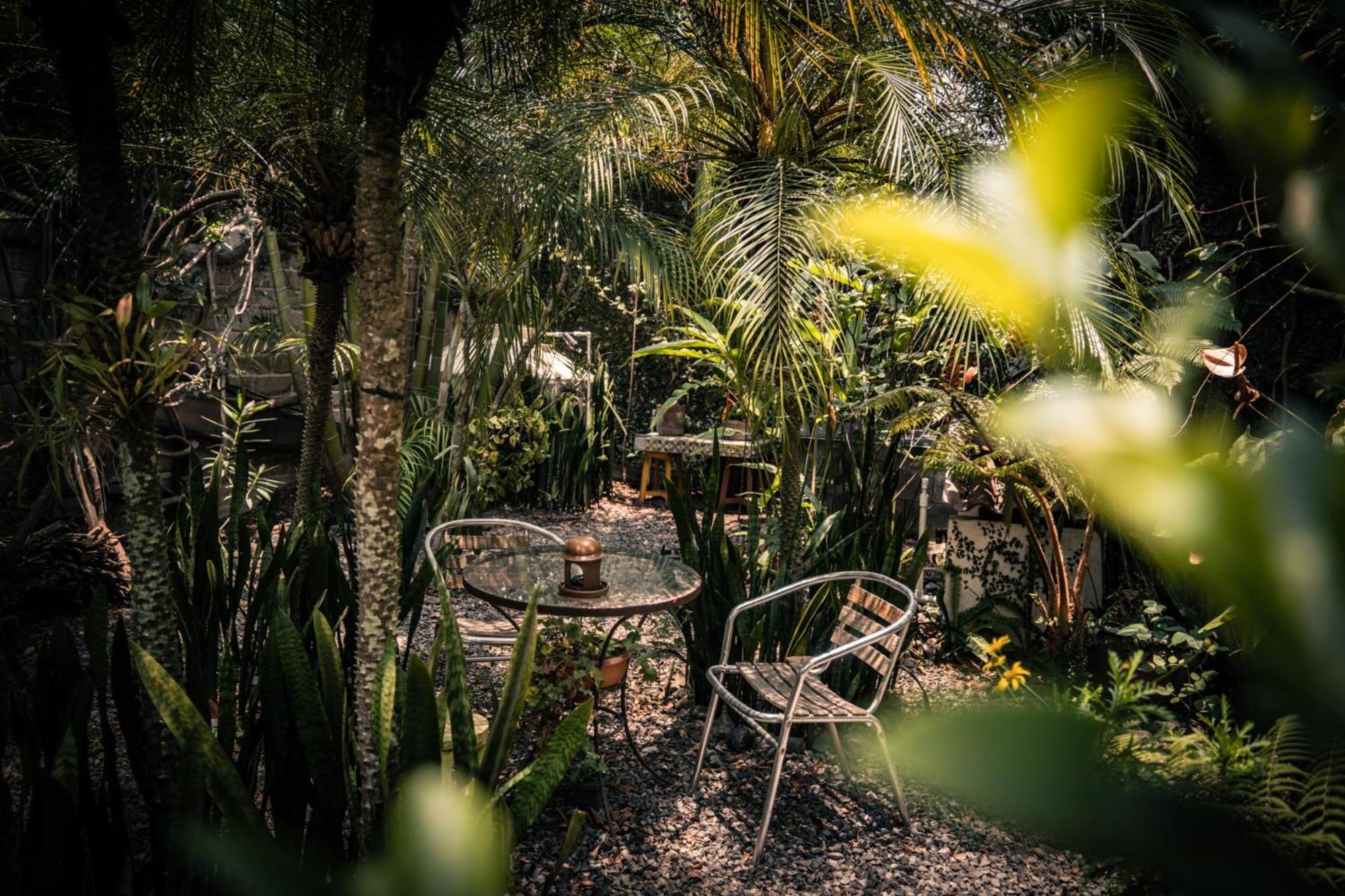 Baraka Antigua Villa Ngoại thất bức ảnh