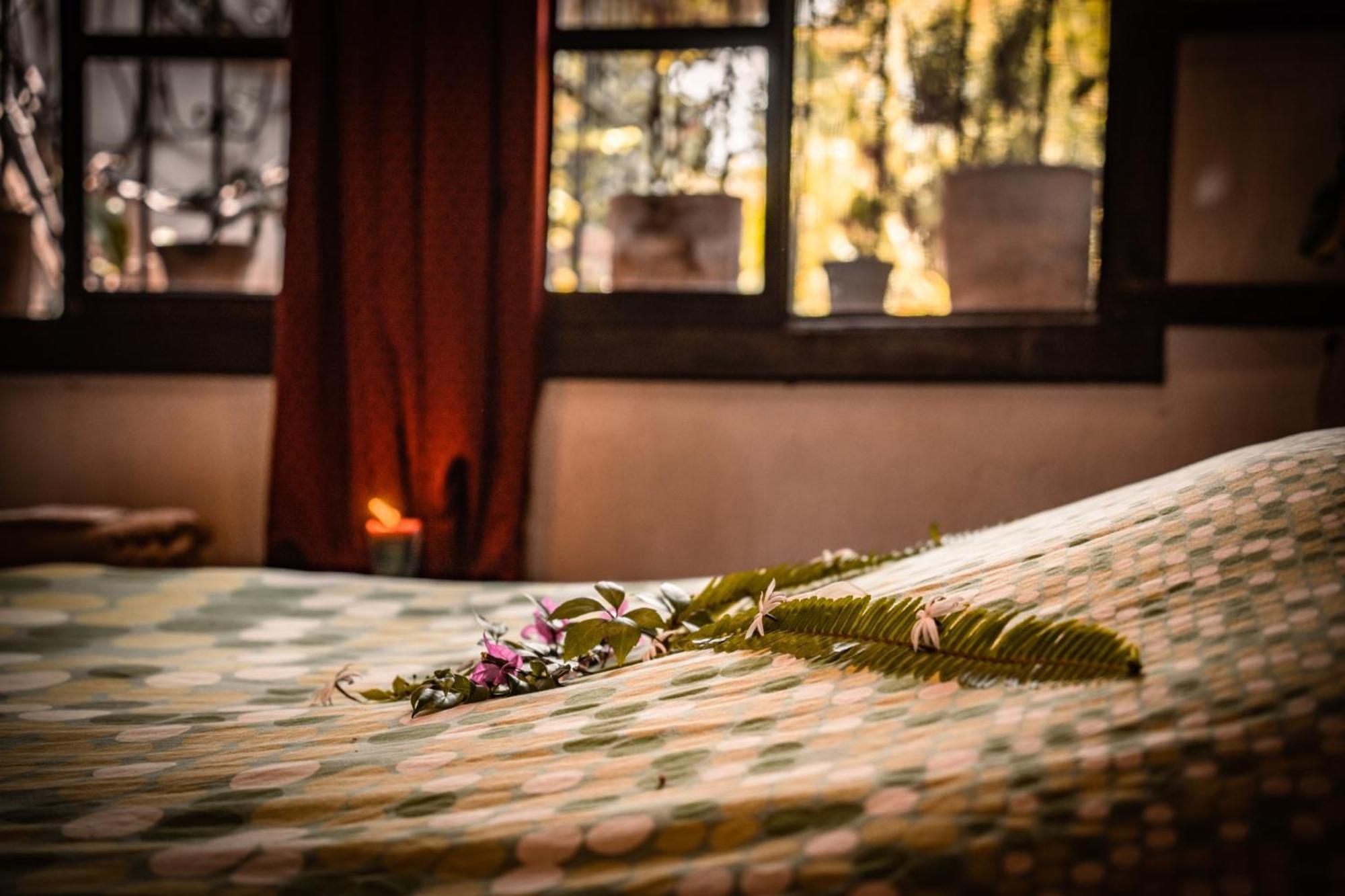 Baraka Antigua Villa Phòng bức ảnh